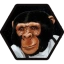 ASTROCHIMP (HAM) logo