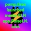 PulseLN (PLN) logo - PulseChain cryptocurrency down 0.16% (24h) trading at $0.000002