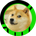 DOGE
