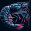Shy Shrimp